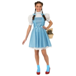 The Wizard of Oz Dorothy Teen Costume