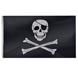 Large Pirate Flag