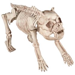 Bones The Dog