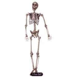 Poseable Skeleton