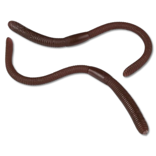 Fake Rubber Worms