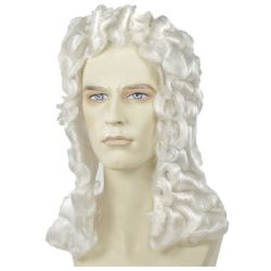 Discount Judge Wig