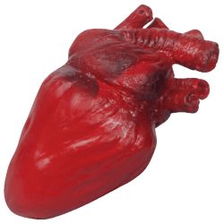 Heart Prop