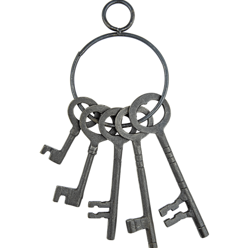 Jailers ring sale