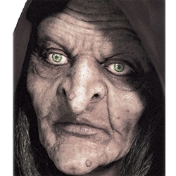 Swamp Witch Full Face Prosthetic