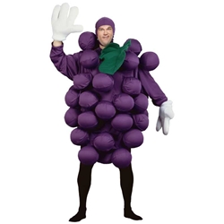 Purple Grapes Adult Costume