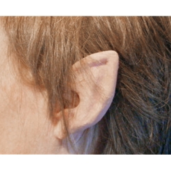 Elf Flexi-Ears