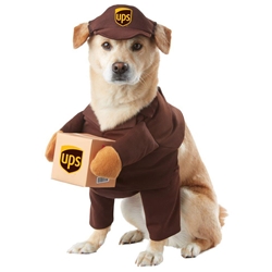 UPS Dog Costume