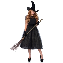 Darling Spell Caster Witch Sexy Adult Costume