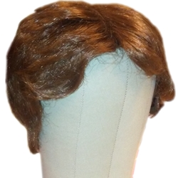 Men's Costume Wig