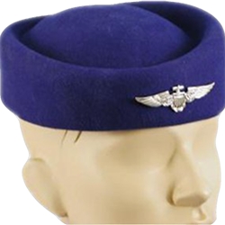 Flight Attendant Hat