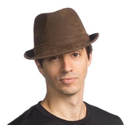 Narrow Brim Brown Fedora