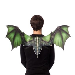 Dragon Wings