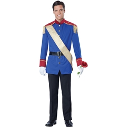 Storybook Prince Adult Costume