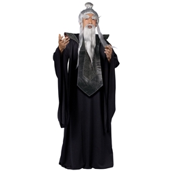 Sensei Master Adult Costume