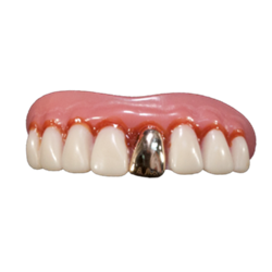 Billy Bob Teeth Full Grill Gold