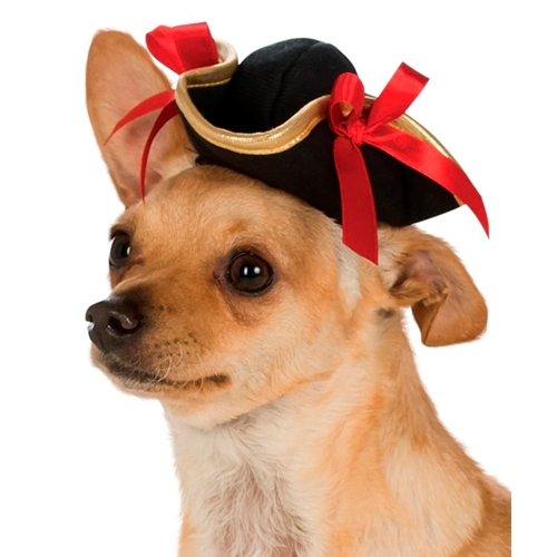 Pet Pirate Girl Hat