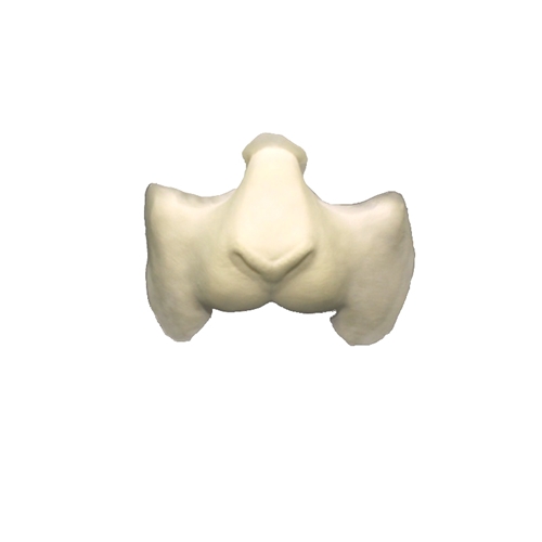 Sheep/Goat Nose Prosthetic
