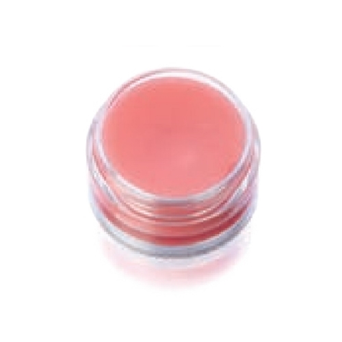 Ben Nye Lip Gloss