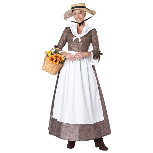 American Colonial Dress Adult Costume
