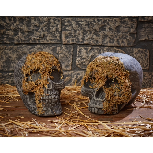 Moss Covered Skull | The Costumer