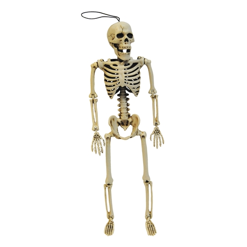 Posable Skeleton | The Costumer