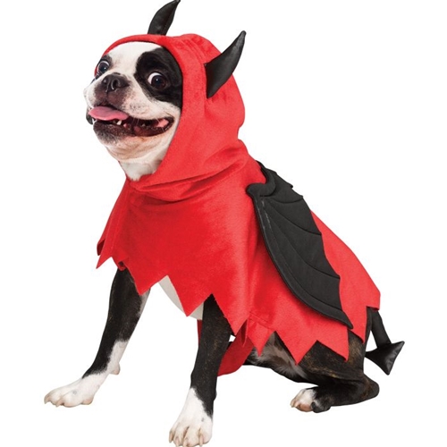 Devil Pup Poncho