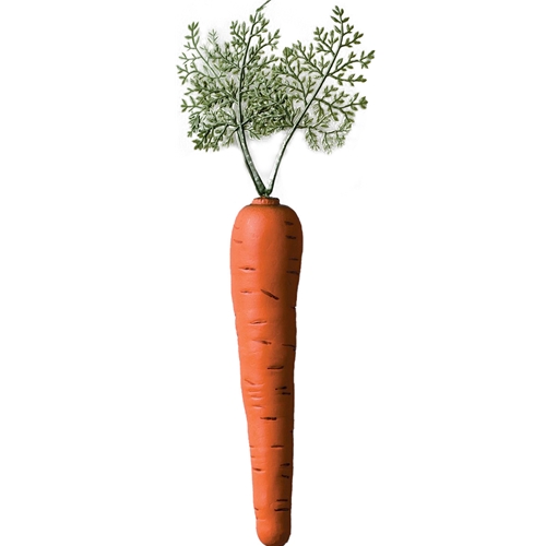 Jumbo Bunny Carrot
