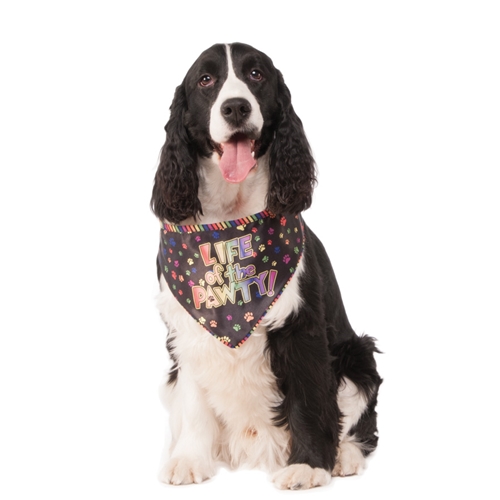 “Life of the Pawty” Pet Bandana