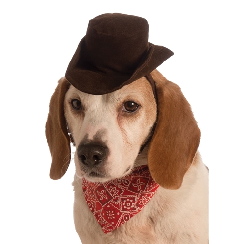 Pet Cowboy Costume Set