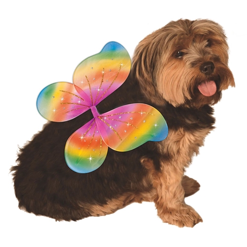 Pet Rainbow Wings