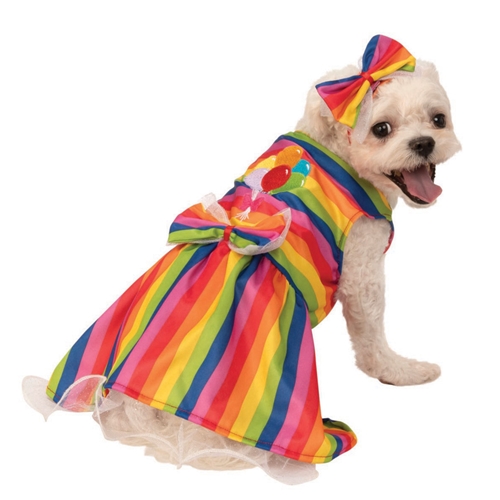Party Pet Rainbow Costume