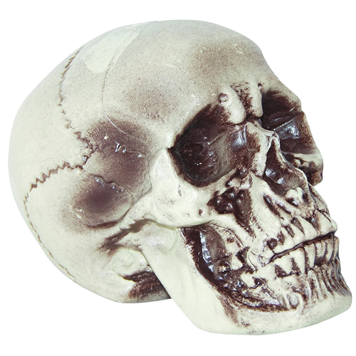 Realistic Plastic Skull 7"