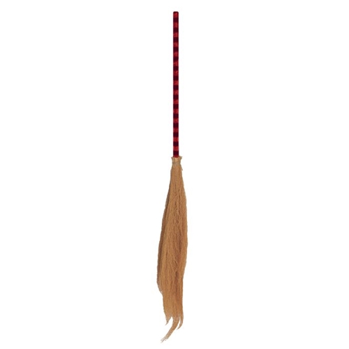 Witch Broom Deluxe