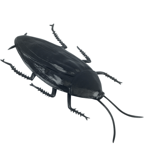 Jumbo Fake Cockroach Gag