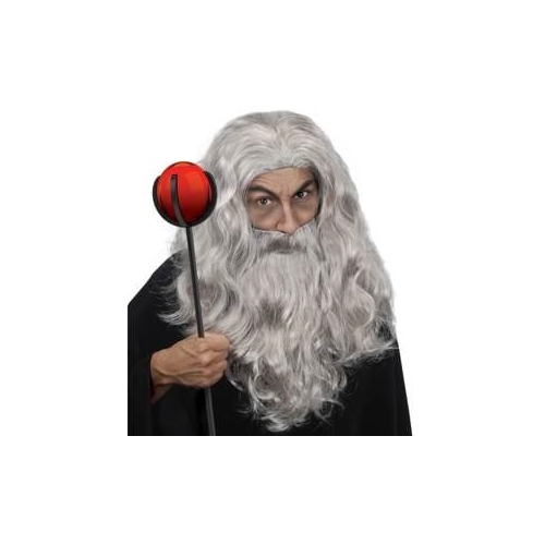 Wizard Wig & Beard Set Gray