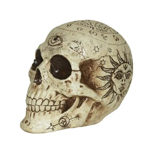 Fortune Telling Skull 7"