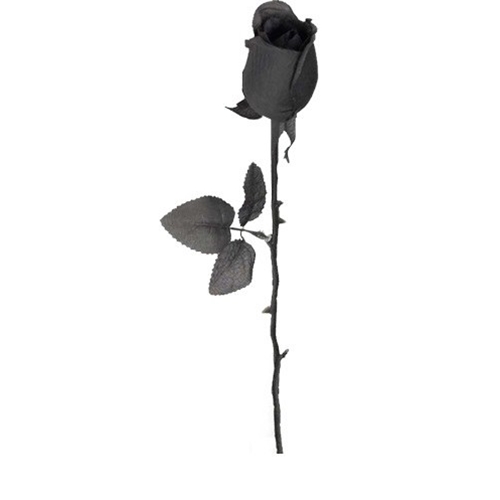 Rose with Black Stem 21"
