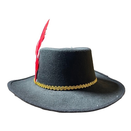 Musketeer Hat with Feather