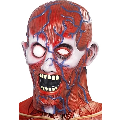 Anatomy Man Mask