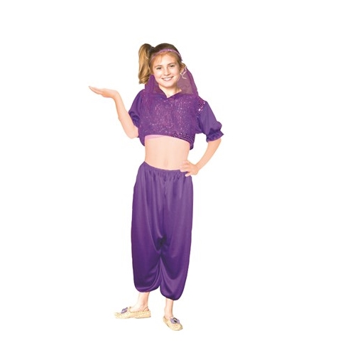 Harem Girl Purple Child Costume Size Medium