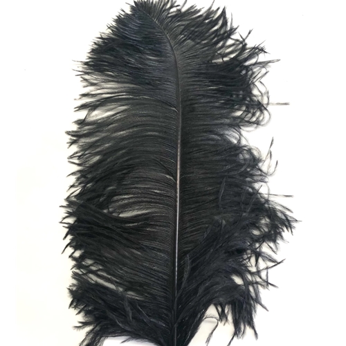 Ostrich Plume 18-21"
