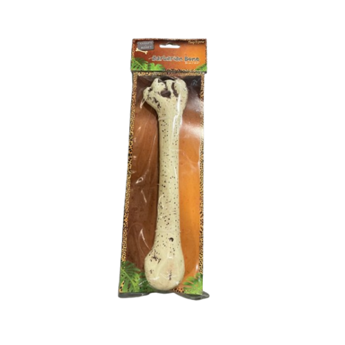Body Bone
