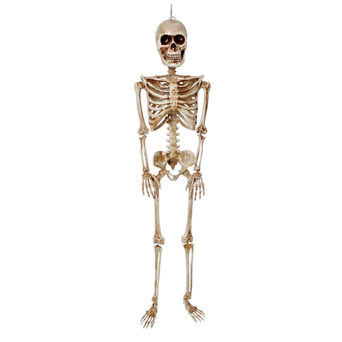 36 Inch Articulated Skeleton Decoration