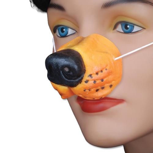 Brown Dog Nose