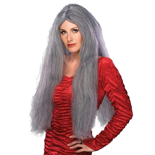 28" Long Grey Wig