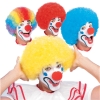 Economy Afro Clown Wig