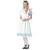 Alice Adult Costume