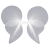 Angel Wings