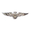 Pilot Insignia Aviator Wing Pin